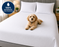 Waterproof Duvet Protector Cover Zipped Anti Dust Mite Pet Proof Washable Bedding All Sizes