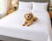 Waterproof Duvet Protector Cover Zipped Anti Dust Mite Pet Proof Washable Bedding All Sizes
