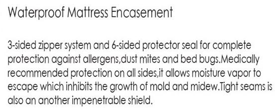 Bed Bug Mattress Protector Encasement Anti Bacterial Waterproof | 10 Bed Sizes