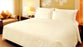Single Size 3 pce Sheet Set Cream 200 Tc